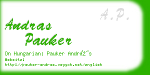 andras pauker business card